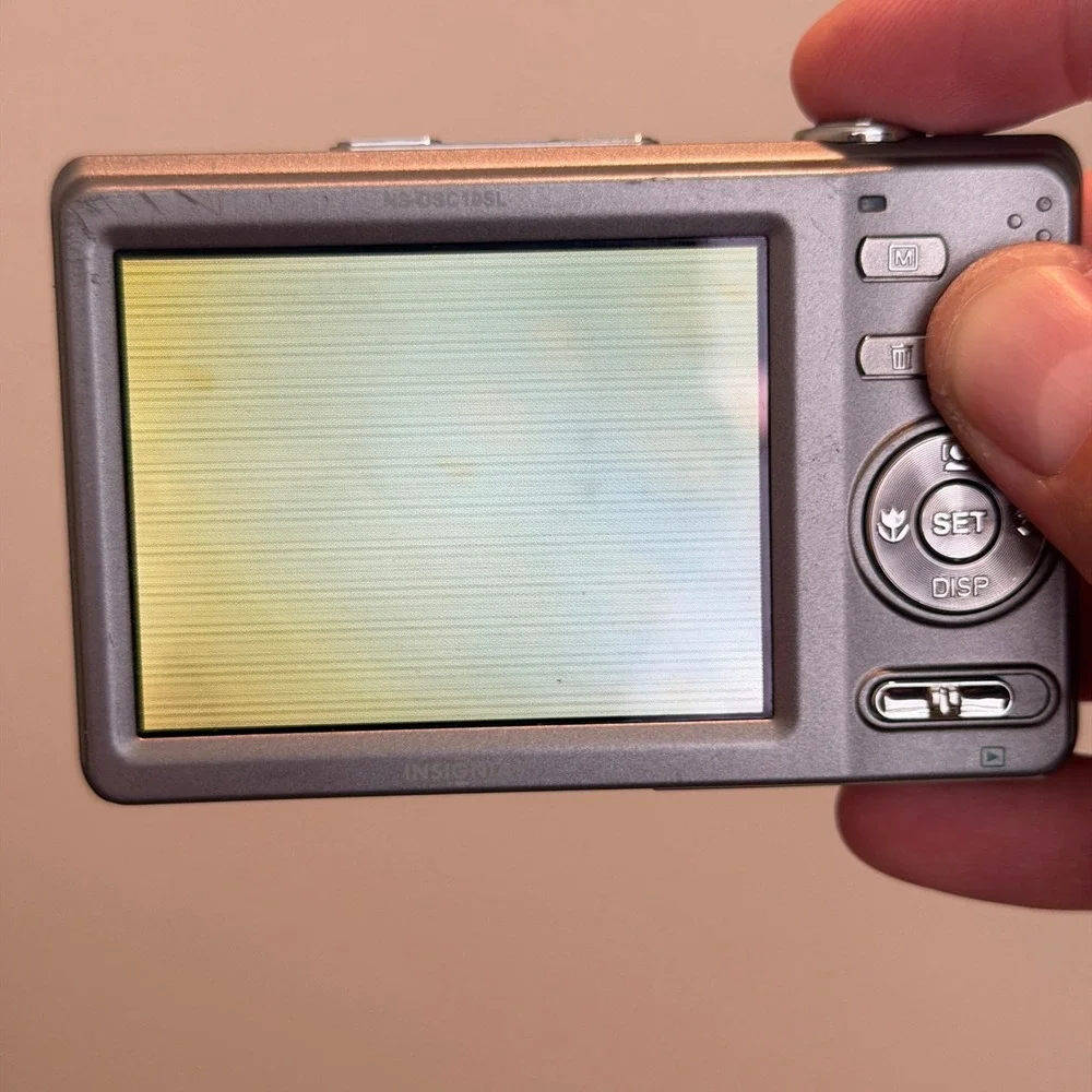 Nikon battery door